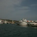 فيلة Nissi أيا نابا